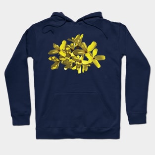 Forsythias - Forsythia Closeup Hoodie